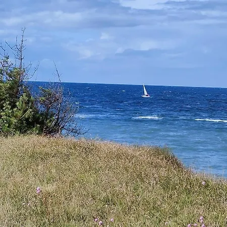 Strandlaeufer * Dranske