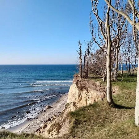 Strandlaeufer * Dranske