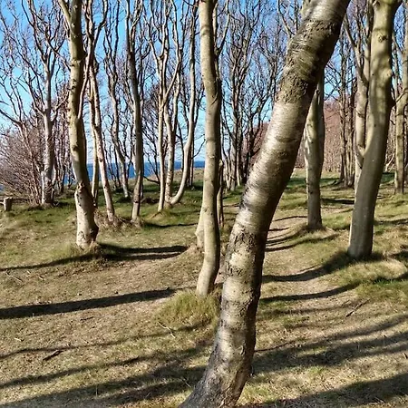 Strandlaeufer Σπίτι διακοπών *