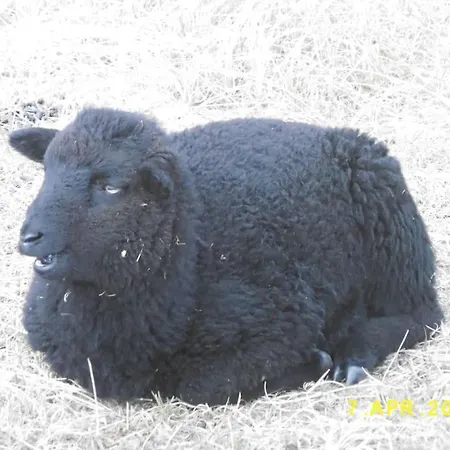 Σπίτι διακοπών Strandlaeufer