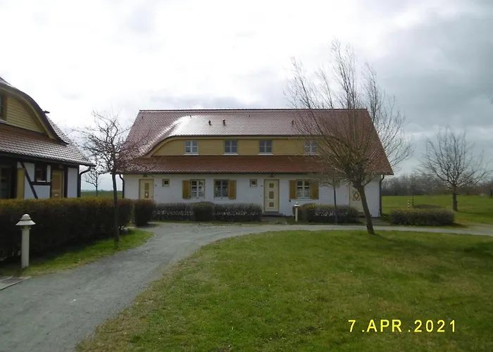 Strandlaeufer * 德兰斯克