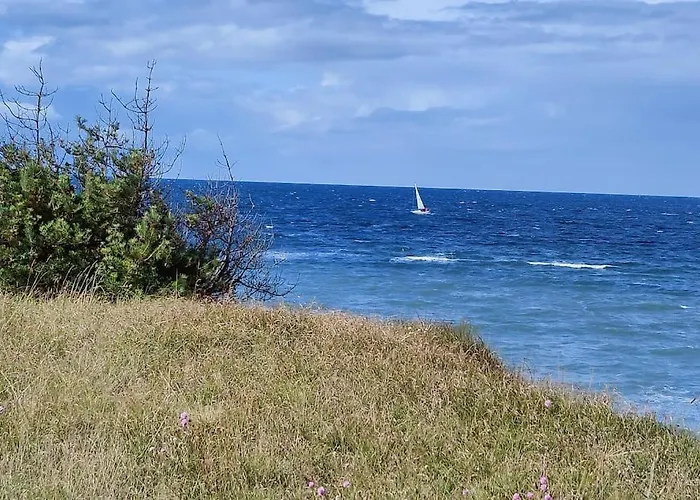 Strandlaeufer * 德兰斯克