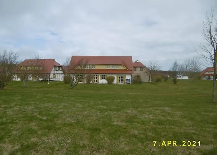 Strandlaeufer * 德兰斯克