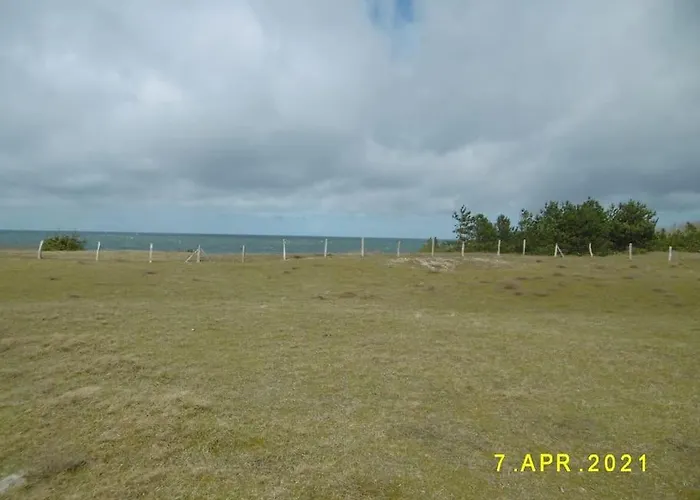 Strandlaeufer * 德兰斯克