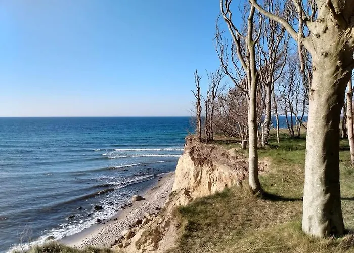 Strandlaeufer * 德兰斯克