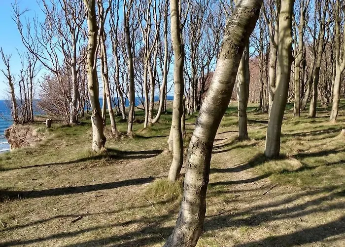 Strandlaeufer 度假居 *